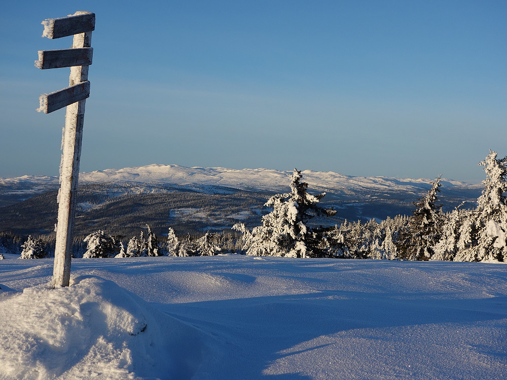 Fra Krokvassfjellet mot Spåtind.