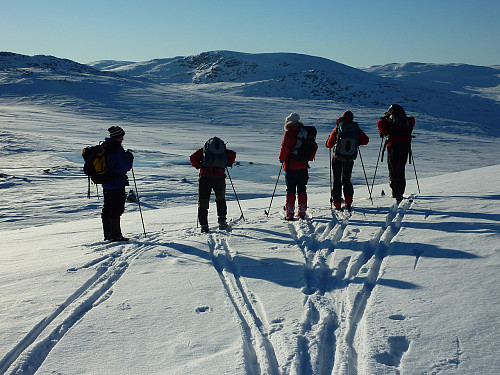 Skiløpere på vei ned fra Storrustefjellet med Ørneflag i bakgrunnen.