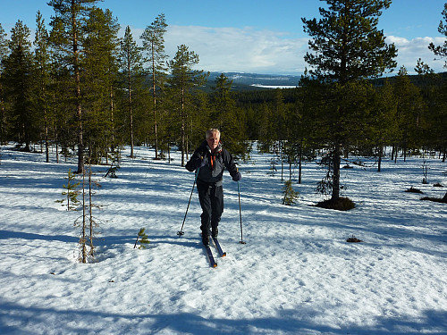 Gunnar på tur oppover skogen på et flott skareføre. Nordenden av Osensjøen bak.