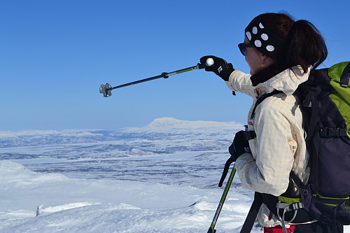 Utsikt mot Gaustatoppen
