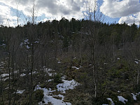 Våttåsen sett fra øst