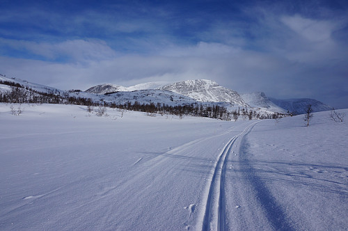 Fine spor å gå etter inn til Vassendsetra.