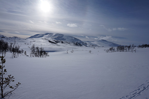Fint å gå på litt nysnø i dag, ser her Svahøa og Tyrikvamfjellet