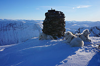 Godt med en pause for to og firbeinte her.