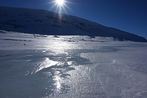 Tidlig snøsmelting på 1200 moh.