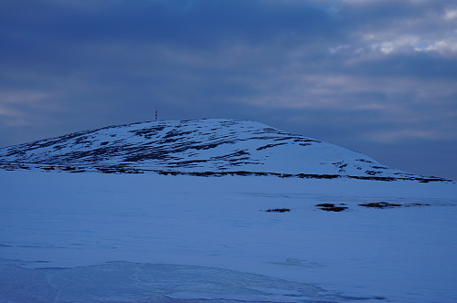 Allmannberget 1342moh