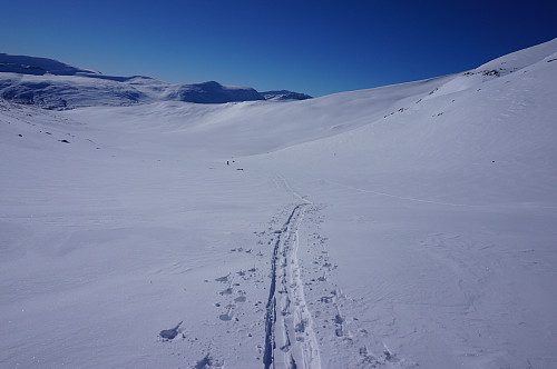 Nydelig skiføret, ser her tilbake nedover Storbekkdalen.