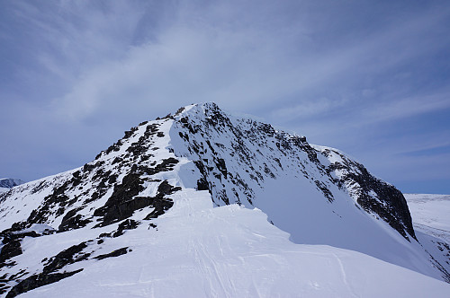 Gikk opp etter ryggen mellom Roksdalen og Svorundtjønna.