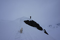 opps_20150421_5536862b88e72.jpg