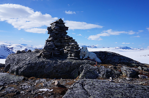 Elghøa 1446 moh. Tundra koser seg ved varden.