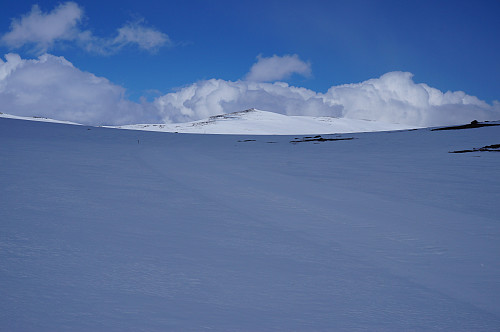 Mye snø enda innover mot Blåøret.