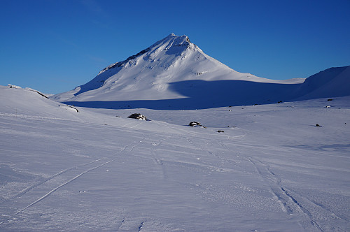 Olavsbu og Snøholstinden 2141 moh. 