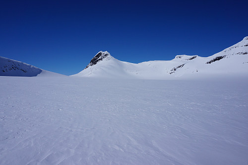 Søre Sagi sett fra Mjølkedalsbreen.