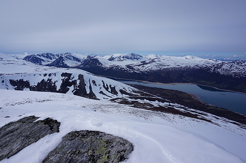 Fin tid i fjellet med fugle kvittring og bekke sus.