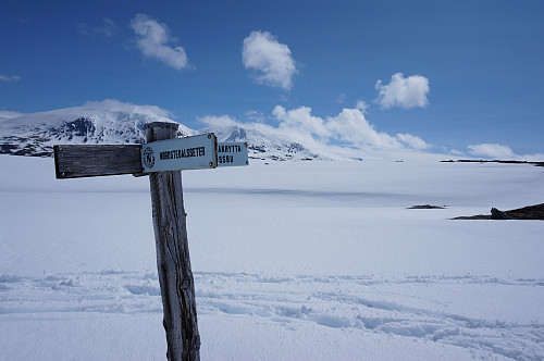 Skilt viser vei i fjellheimen, men stiene er godt gjemt under all snøen