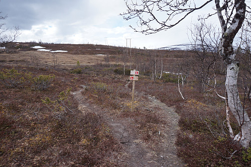 Turen opp til Raudhovdin er også en populær sykkelsti.