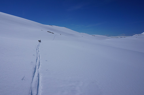 Atter en fin dag i Sulitjelmafjellene,fine skiforhold.