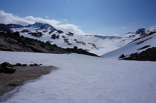 Austre Okstindbreen dukker opp når vi kommer ved tjernet 850 moh.