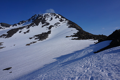 Turen tilbake gikk fort unna når en kunne kruse ned bakkene på ski.