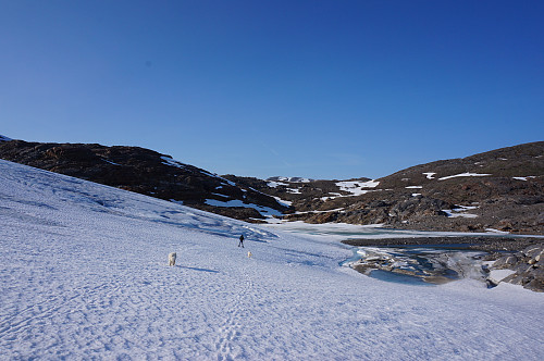 Krysset breen litt lengre nede på turen tilbake.