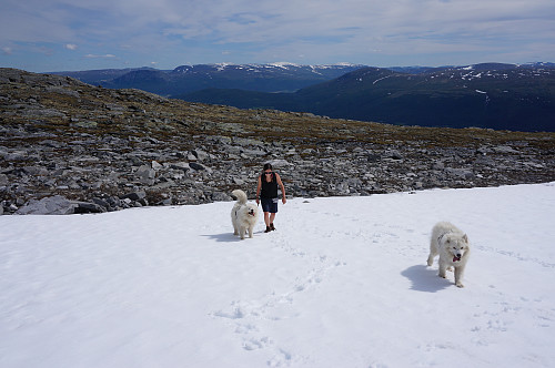 Fortsatt ligger det mye snø igjen, Courtney med Bamse og Ivrig.