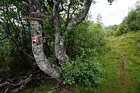 opps_20150816_55d0f5b7d5d9c.jpg