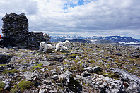 opps_20150816_55d0f6a60d264.jpg