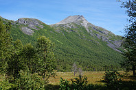 opps_20150816_55d101dd4cfbb.jpg