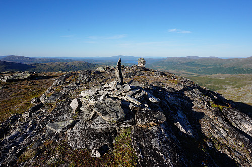 Svahøa