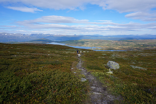 Lettgått tur. 