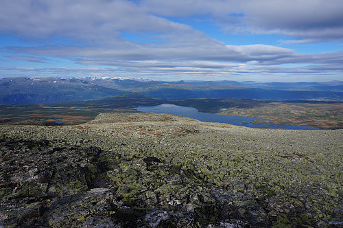 Jotunheimens topper langt der bak.