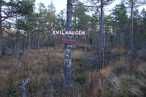 Stien opp til Kvilhaugen var myrete og våt på endel plasser.