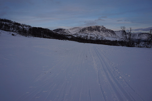 Gjevillvasskambene.