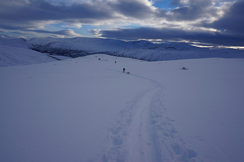 Fint føre i nysnøen.