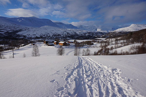 Storligrenda i strålende vær.
