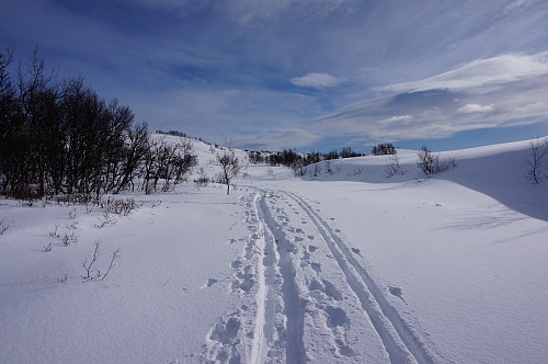 Når nord vesten herjer i Oppdalsfjella, er det fint vær litt lengre sør så vi valgte å kjøre til Kongsvold for å ta turen opp på Syndre Knutshøa.