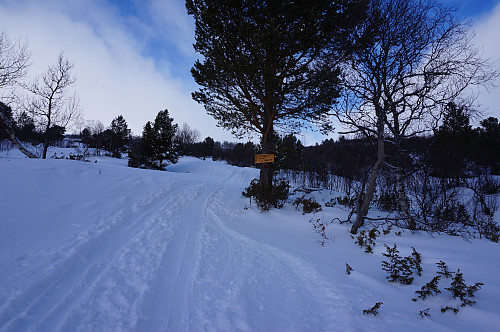 Mange som var på tur opp i dag så vi hadde fine spor å gå etter, bortskjemt når en slipper å brøyte opp selv. Men egentlig veldig godt å være bortskjemt noen ganger...
