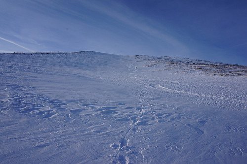 Signatur i snøen....