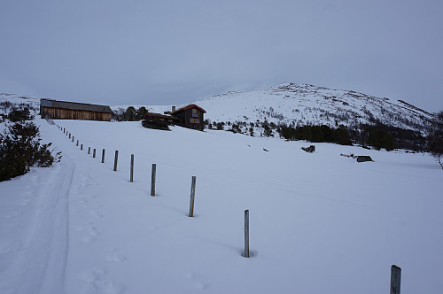Negardssætra