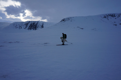 Ivrig får god hjelp av matfar, utrolig at han fortsatt er med på turer.