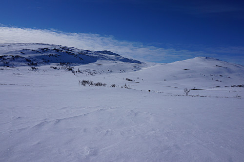Svahøa og Tyrikvamfjellet