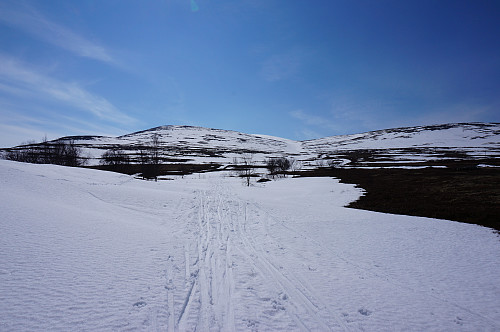 Greit med snø opp etter bekkedalen.