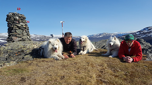 Svarthaugen: Bamse, Egil, Ivrig,Tundra og Roar Andre` En fin varm kveldstur.