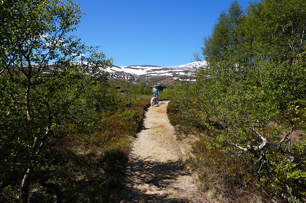 Luftetur ned til Gjevillvatnet.