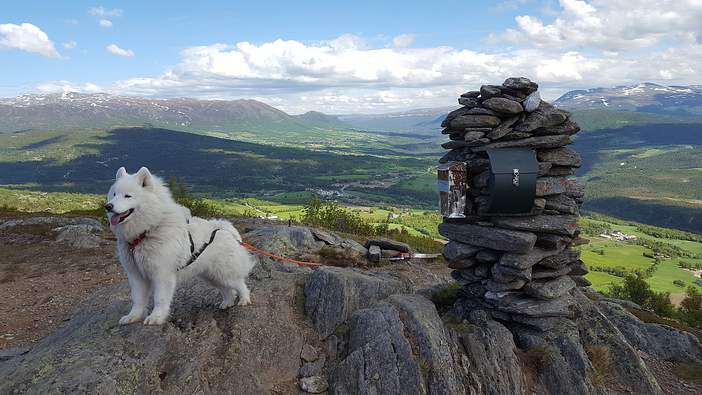 Munkvollhovden har også navn som sukkertoppen.