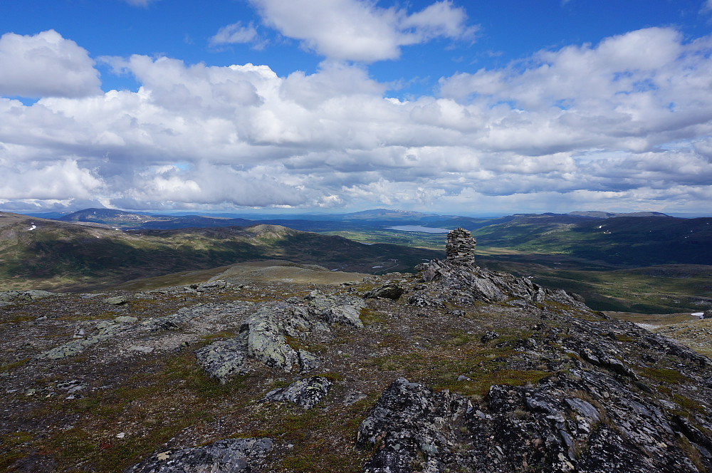 Liten luftetur i lag med Egil før jobbing i skogen...