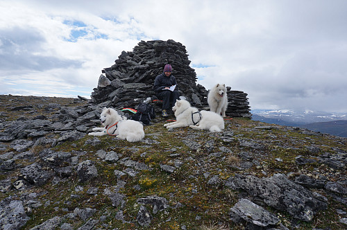 Egil med turkompiser.