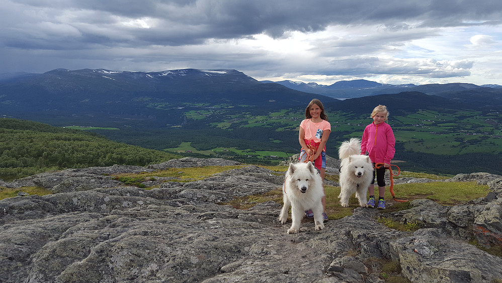 Luftetur med hund, Aurora og Sigrid er med.