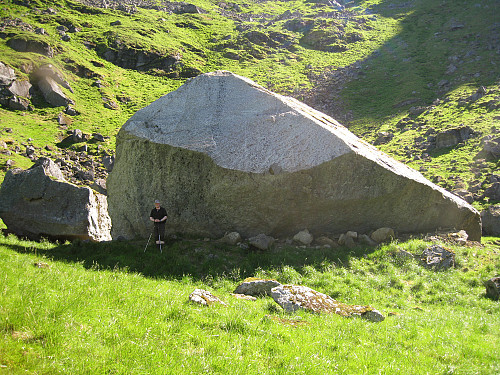 Rune ved en av de mange kampsteinene ved Dalsvatnet.