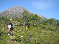 opps_20160804_57a3af0b7af56.jpg